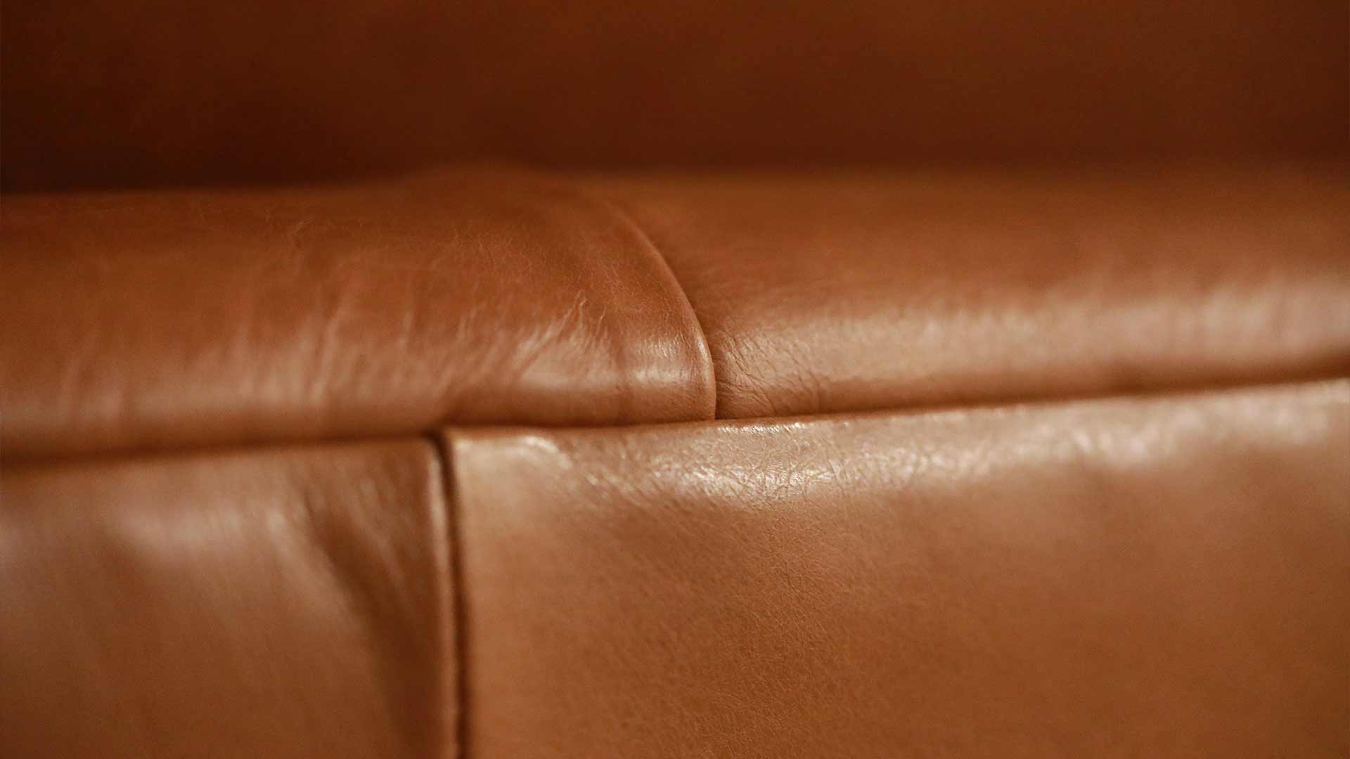 L'importance de nourrir le cuir